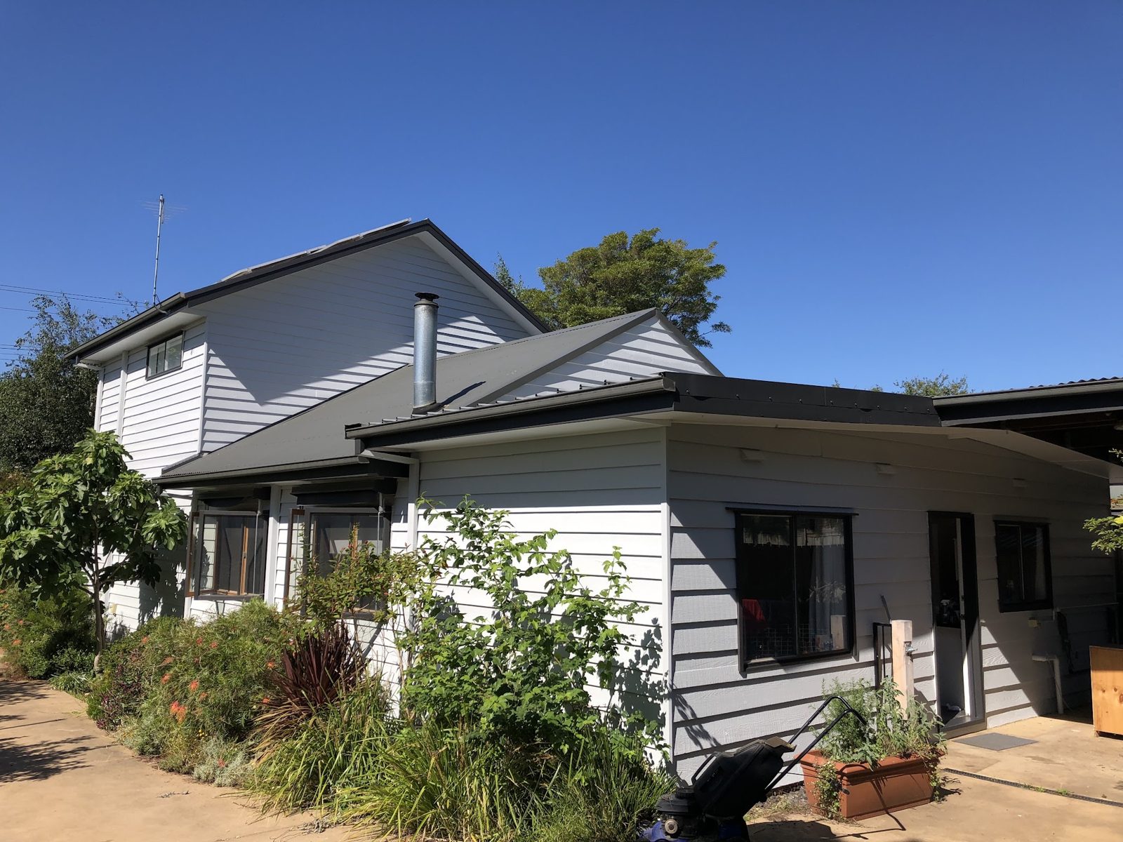 Weatherboard home in white and grey behind an established garden